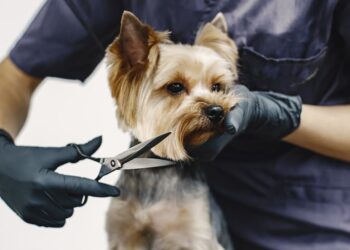 ВТБ назвал самые редкие и необычные специальности среди самозанятых