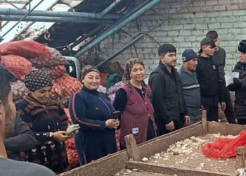 Самарские прокуроры пошли в бой против фиктивных языковых сертификатов мигрантов