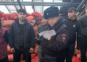 Самарско-российский легализатор мигрантов остановил банкротство и пошел дальше