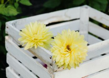 Выпуск деревянной тары вывел в лидеры самарского бизнеса компанию «Виктория»