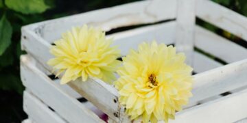 Выпуск деревянной тары вывел в лидеры самарского бизнеса компанию «Виктория»