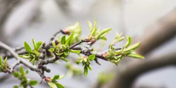 Афиша выходного дня: куда сходить в Самаре с 19 по 21 апреля