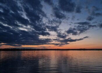 ТОП-5 новостей недели: Общество