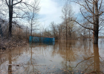 В Самарской области затопило село Белозерки в Волжском районе