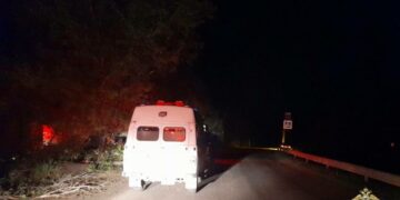 В Самарской области мотоциклист насмерть разбился о дерево