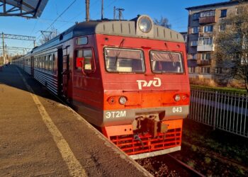 ТОП-5 новостей недели: Общество