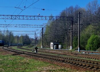 Фото: Александра Русяева