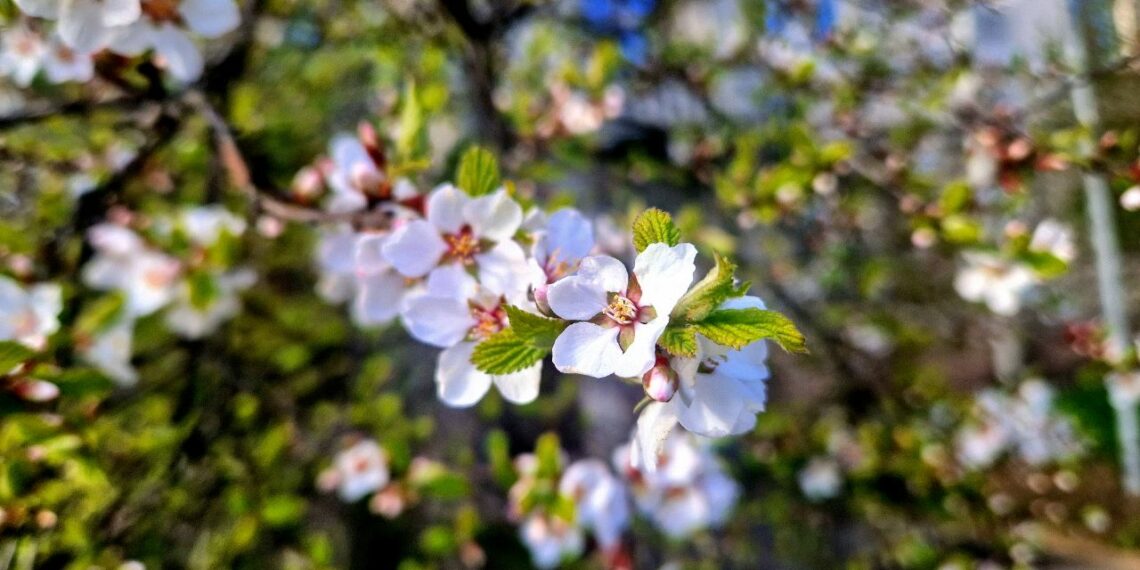 ТОП-5 новостей недели: Общество