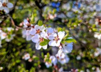 ТОП-5 новостей недели: Общество