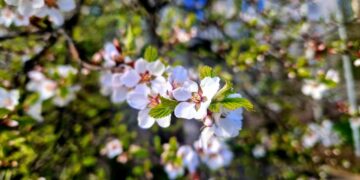 ТОП-5 новостей недели: Общество