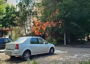 ТОП-5 новостей недели: Криминал