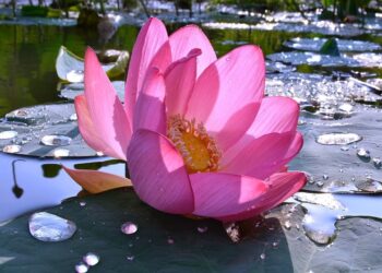 Летом из Самары отправится туристический поезд в Астрахань