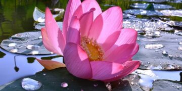 Летом из Самары отправится туристический поезд в Астрахань