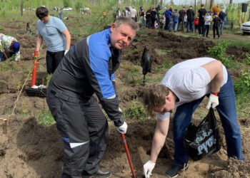 В Тольятти «КуйбышевАзот» помогает восстанавливать памятник природы