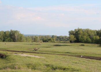 В Красноярском районе Самарской области нашли артефакты бронзового века