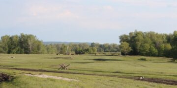 В Красноярском районе Самарской области нашли артефакты бронзового века