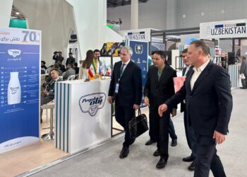 Инвестиционный потенциал Самарской области представили на конференции «Россия – Исламский мир»