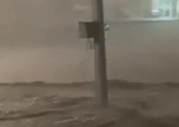 ТОП-5 новостей недели: Общество