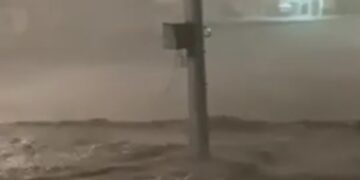 ТОП-5 новостей недели: Общество