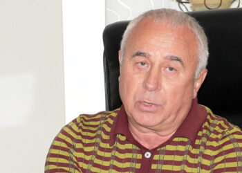 Сурковы больше не добиваются принудительной приватизации леса рядом с их самарской усадьбой