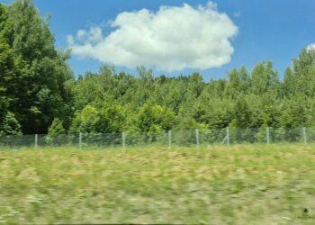 С первых дней июля в Самарскую область вернется жара до +34 градусов