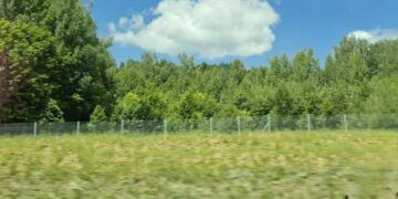 С первых дней июля в Самарскую область вернется жара до +34 градусов