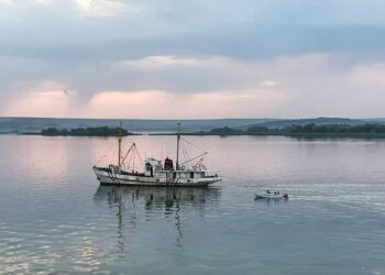 ТОП-5 новостей недели: Общество