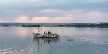 ТОП-5 новостей недели: Общество