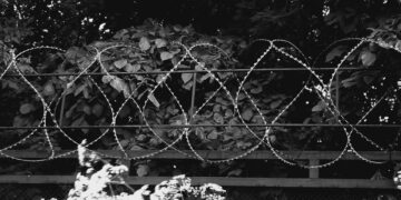 ТОП-5 новостей недели: Криминал