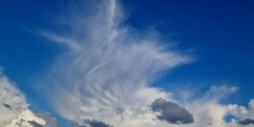 ТОП-5 новостей недели: Общество