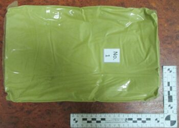 В Тольятти в посылке из Индонезии обнаружено 3 килограмма наркотиков