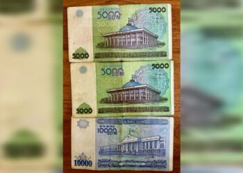 В сызранский следственный изолятор попытались пронести узбекскую валюту