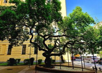 В России начнут штрафовать за отсутствие полиса ОСАГО по данным камер фиксации нарушений