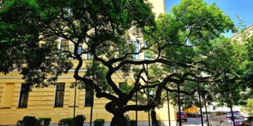 В России начнут штрафовать за отсутствие полиса ОСАГО по данным камер фиксации нарушений