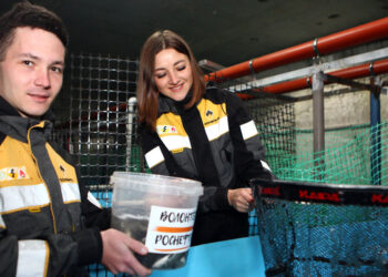 Новокуйбышевские нефтехимики выпустили мальков краснокнижных пород рыб в Волгу