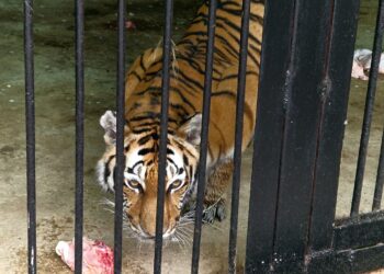 ТОП-5 новостей недели: Общество