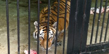 ТОП-5 новостей недели: Общество