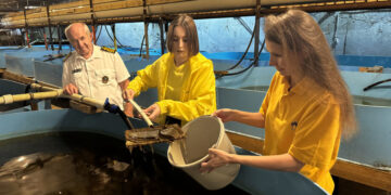 Работники «Самаранефтегаза» отправили в водоем 31 тысячу мальков ценной породы