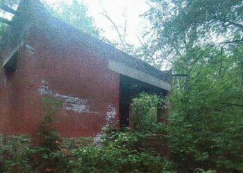 ТОП-5 новостей недели: Криминал