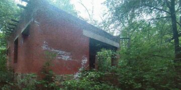 ТОП-5 новостей недели: Криминал