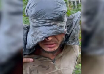 Алаудинов сообщил, что среди взятых в плен в Курской области боевиков ВСУ был «азовец»*