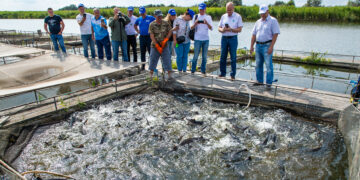 Самарские газовики выпустили в реку Волгу более 13 тысяч мальков стерляди