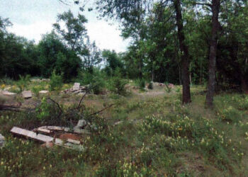 Бывший детский лагерь самарского «Металлурга» возвращают Родине