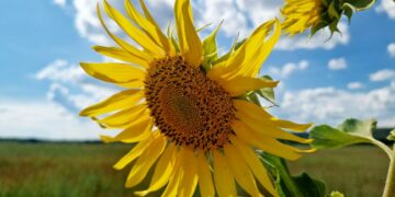 Афиша выходного дня: куда сходить в Самаре с 9 по 11 августа