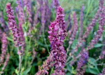 Афиша выходного дня: куда сходить в Самаре с 23 по 25 августа