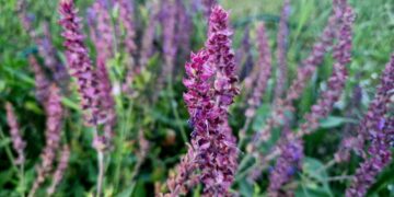 Афиша выходного дня: куда сходить в Самаре с 23 по 25 августа