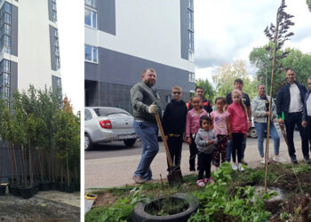 В одном из микрорайонов Самары застройщик высадил аллею из молодых деревьев