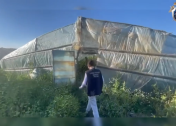 В Самарской области гражданин Узбекистана подозревается в организации незаконной миграции