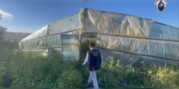 В Самарской области гражданин Узбекистана подозревается в организации незаконной миграции