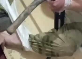 После видео пыток военными Украины в Курской области российских пленных, СКР возбудил уголовное дело